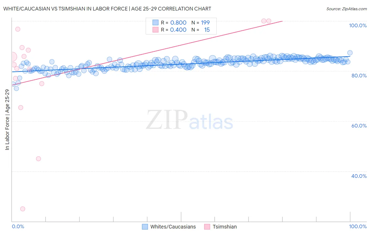 White/Caucasian vs Tsimshian In Labor Force | Age 25-29