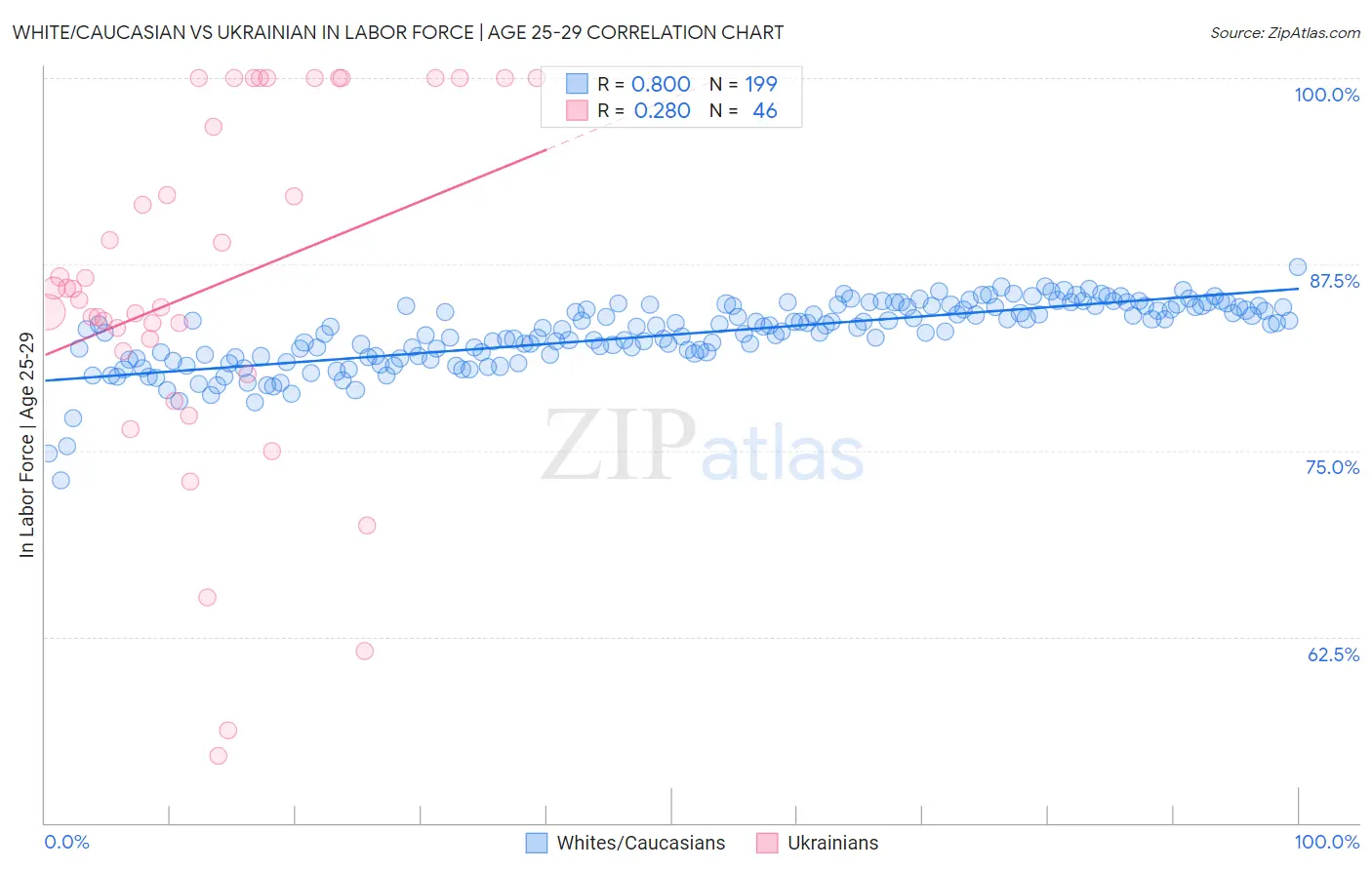 White/Caucasian vs Ukrainian In Labor Force | Age 25-29