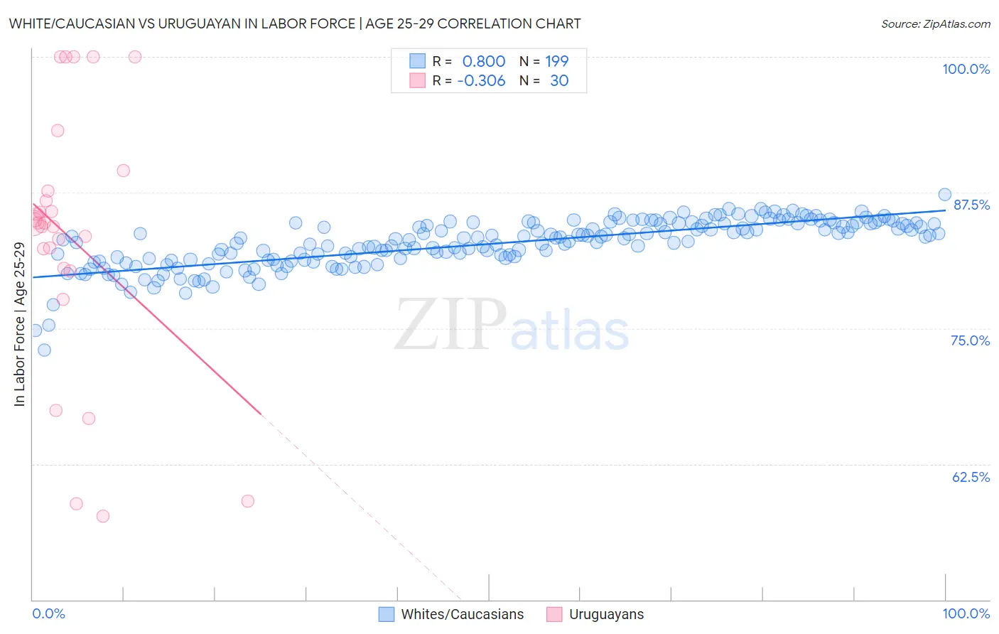 White/Caucasian vs Uruguayan In Labor Force | Age 25-29