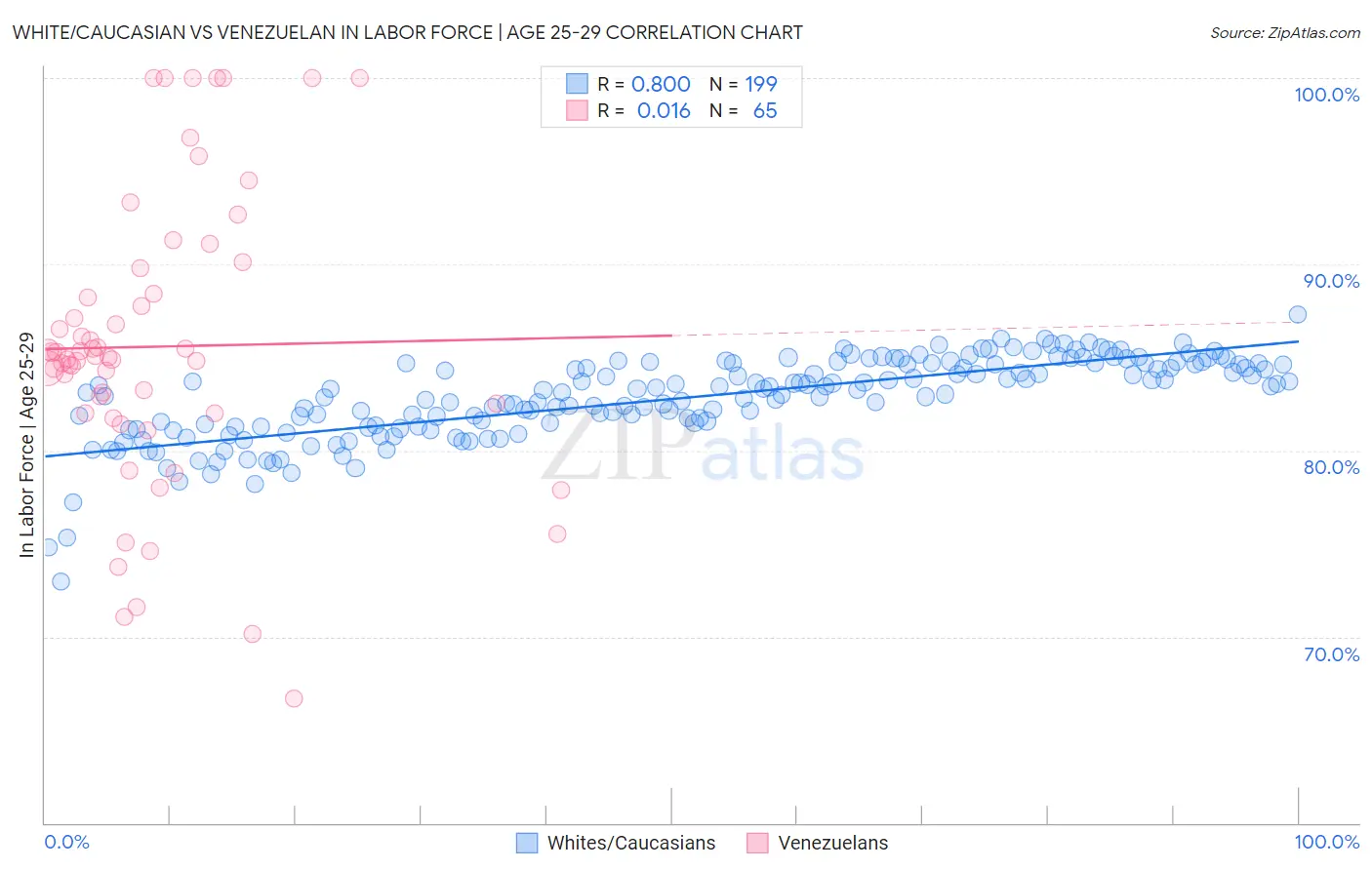 White/Caucasian vs Venezuelan In Labor Force | Age 25-29