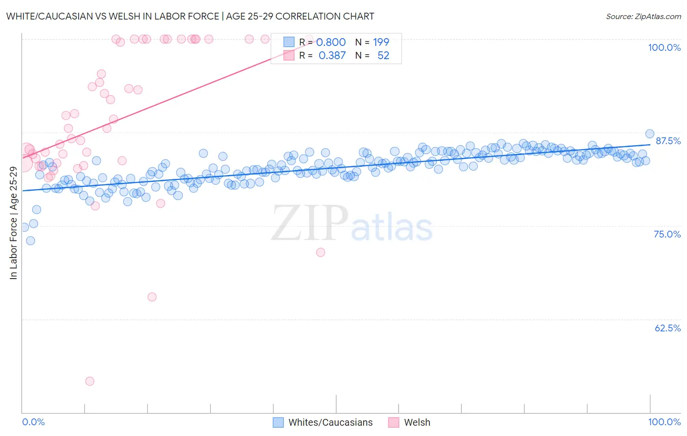 White/Caucasian vs Welsh In Labor Force | Age 25-29