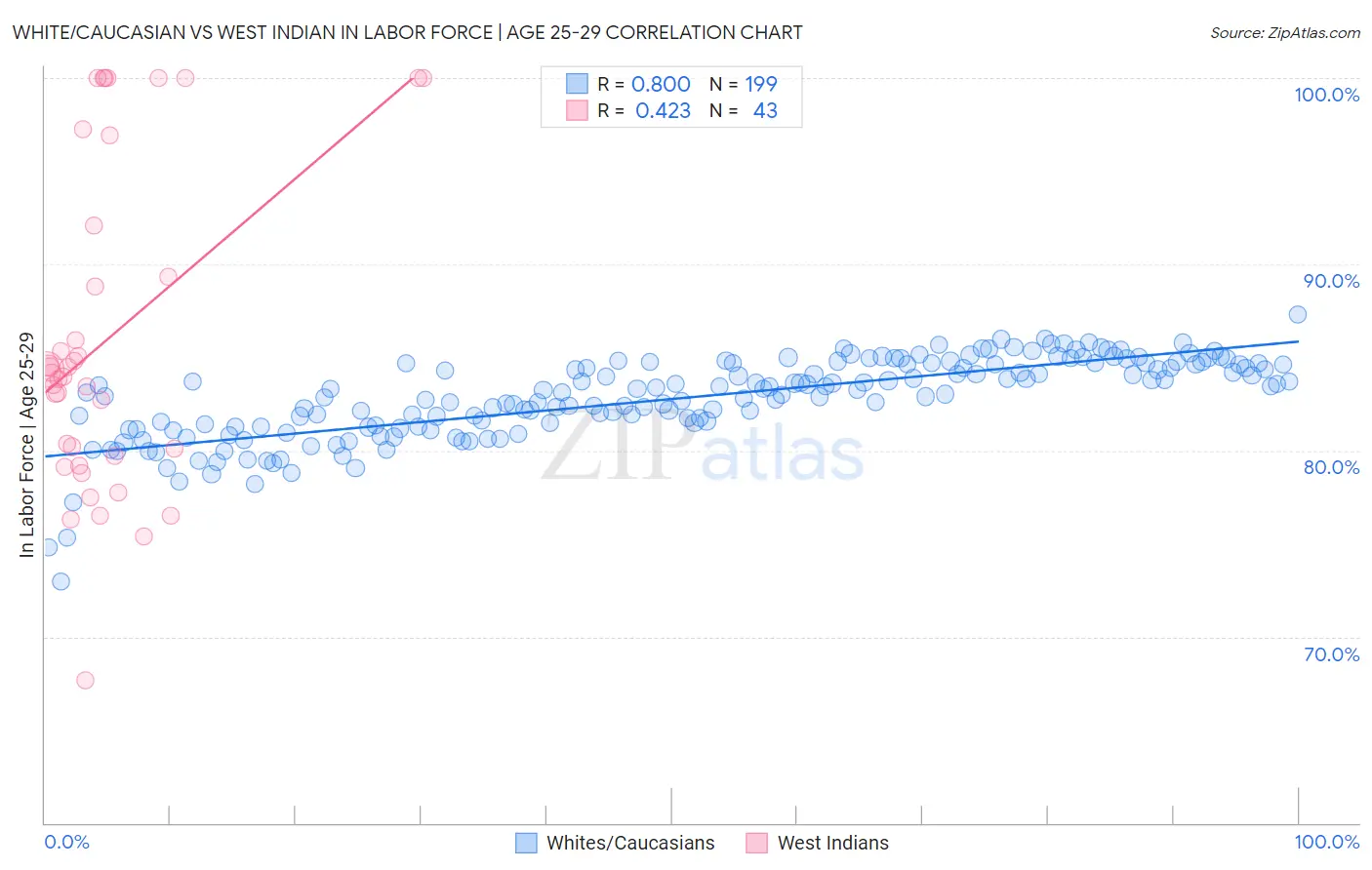 White/Caucasian vs West Indian In Labor Force | Age 25-29