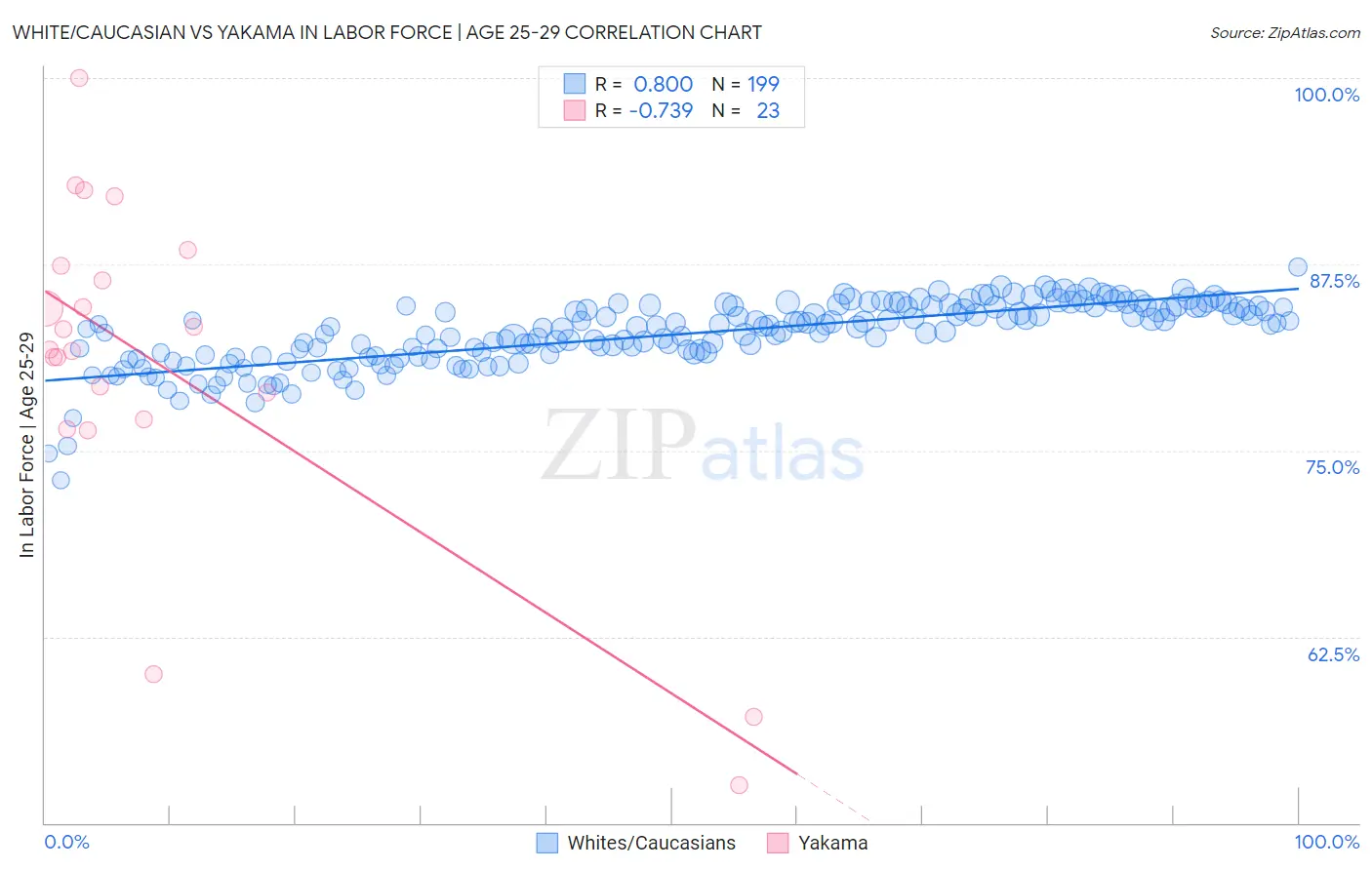 White/Caucasian vs Yakama In Labor Force | Age 25-29