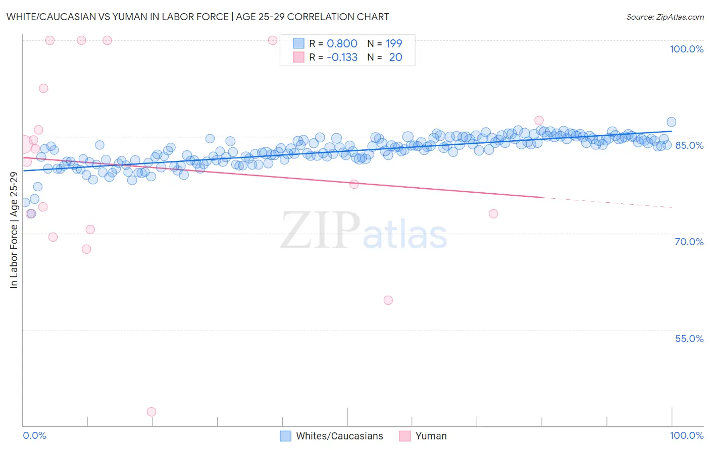 White/Caucasian vs Yuman In Labor Force | Age 25-29