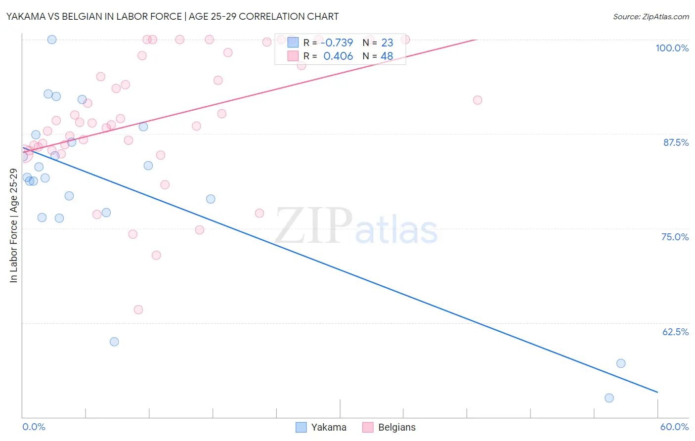 Yakama vs Belgian In Labor Force | Age 25-29