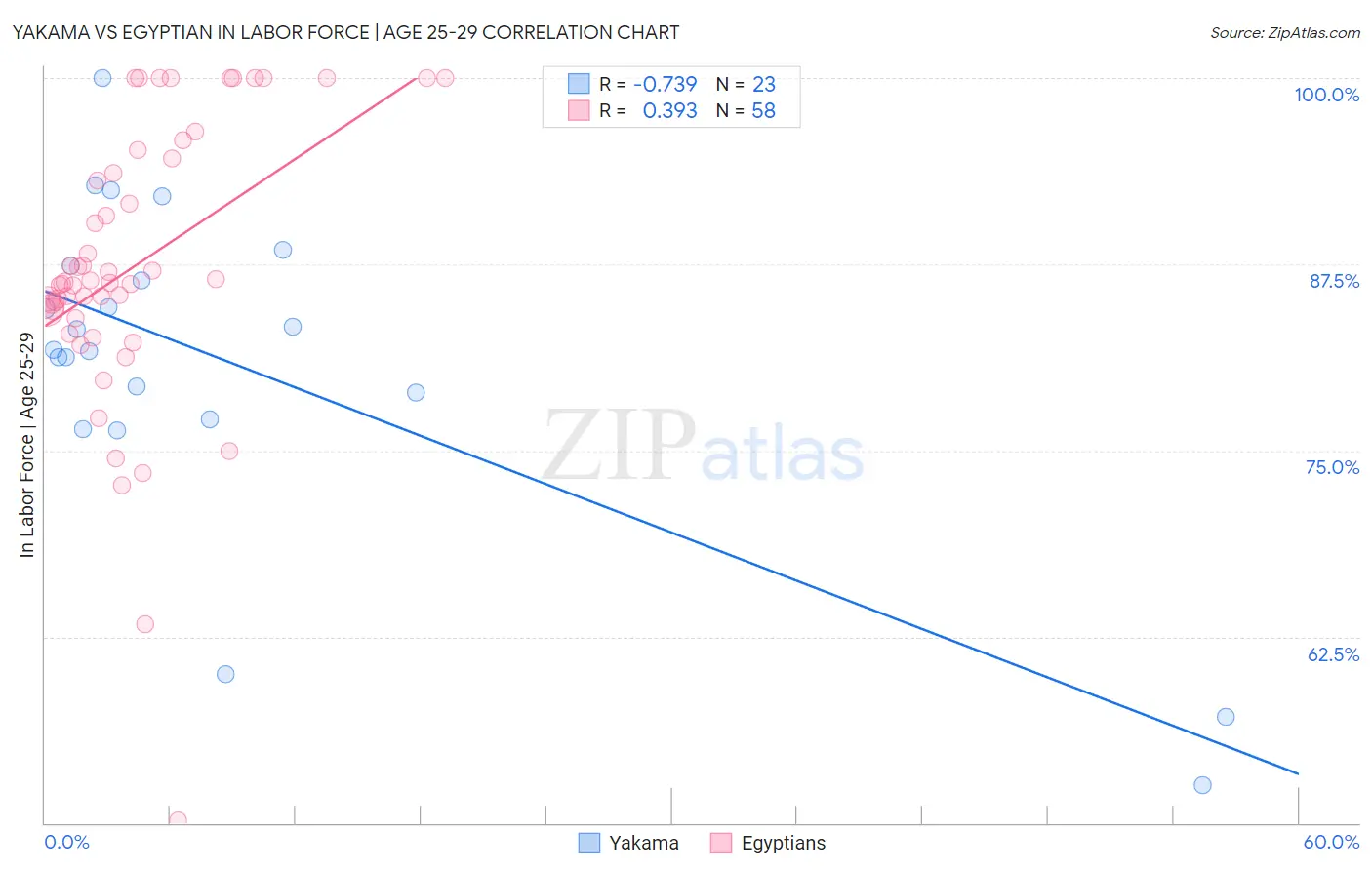Yakama vs Egyptian In Labor Force | Age 25-29