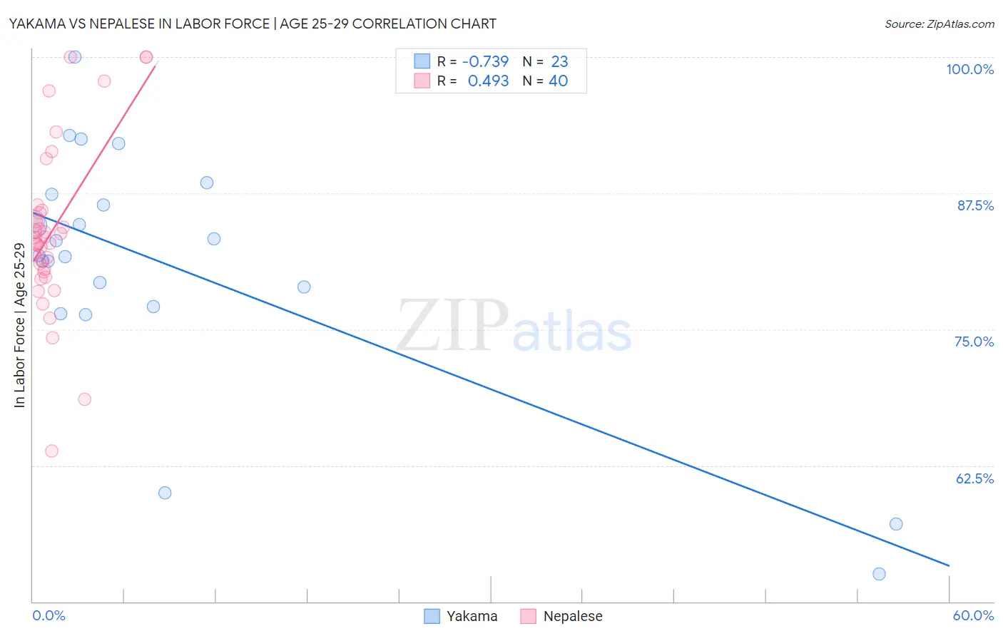 Yakama vs Nepalese In Labor Force | Age 25-29