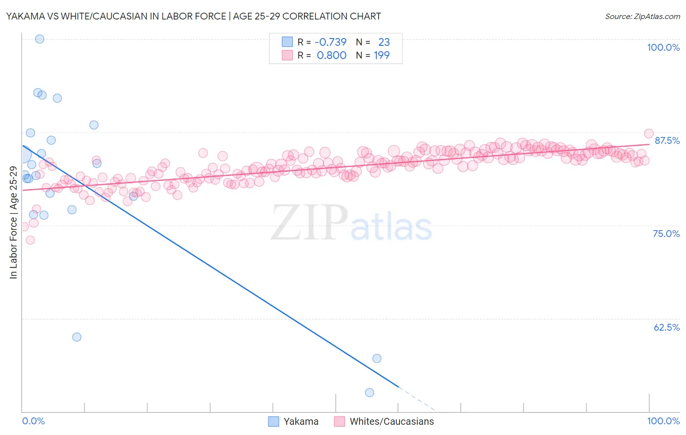 Yakama vs White/Caucasian In Labor Force | Age 25-29