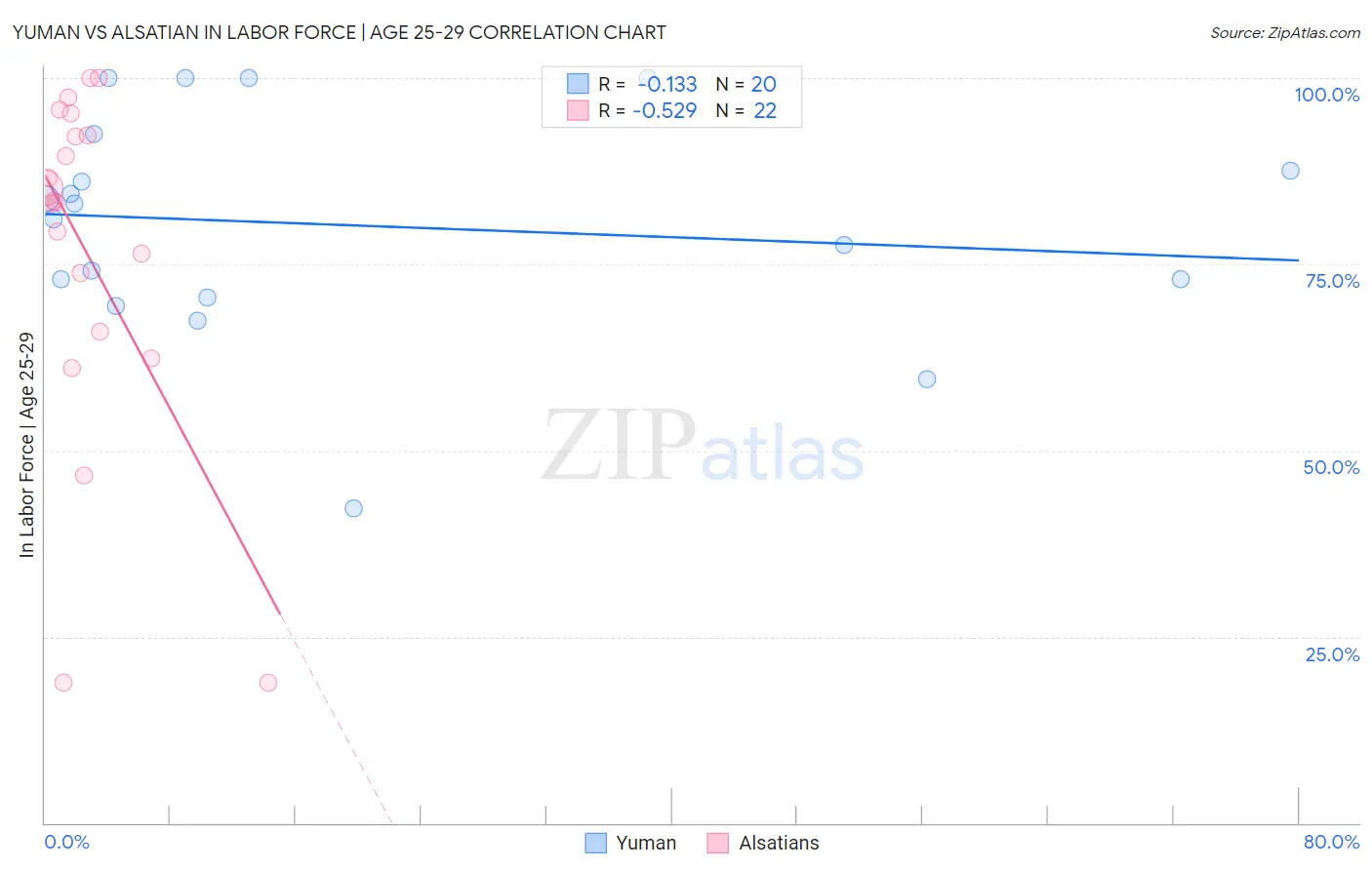 Yuman vs Alsatian In Labor Force | Age 25-29