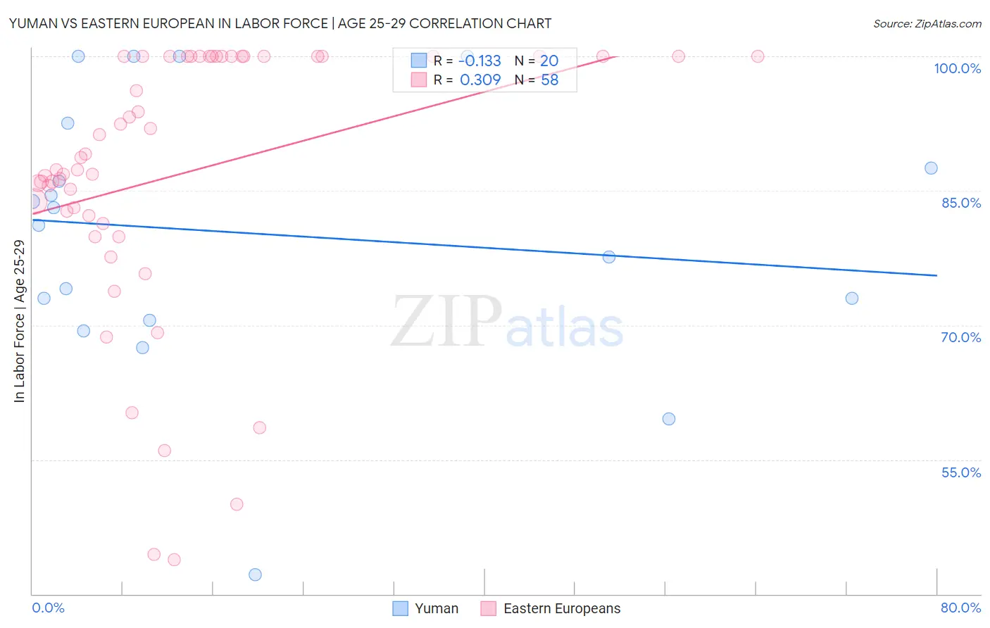 Yuman vs Eastern European In Labor Force | Age 25-29