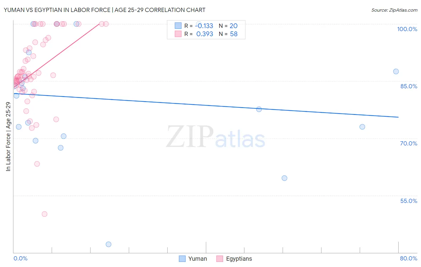 Yuman vs Egyptian In Labor Force | Age 25-29