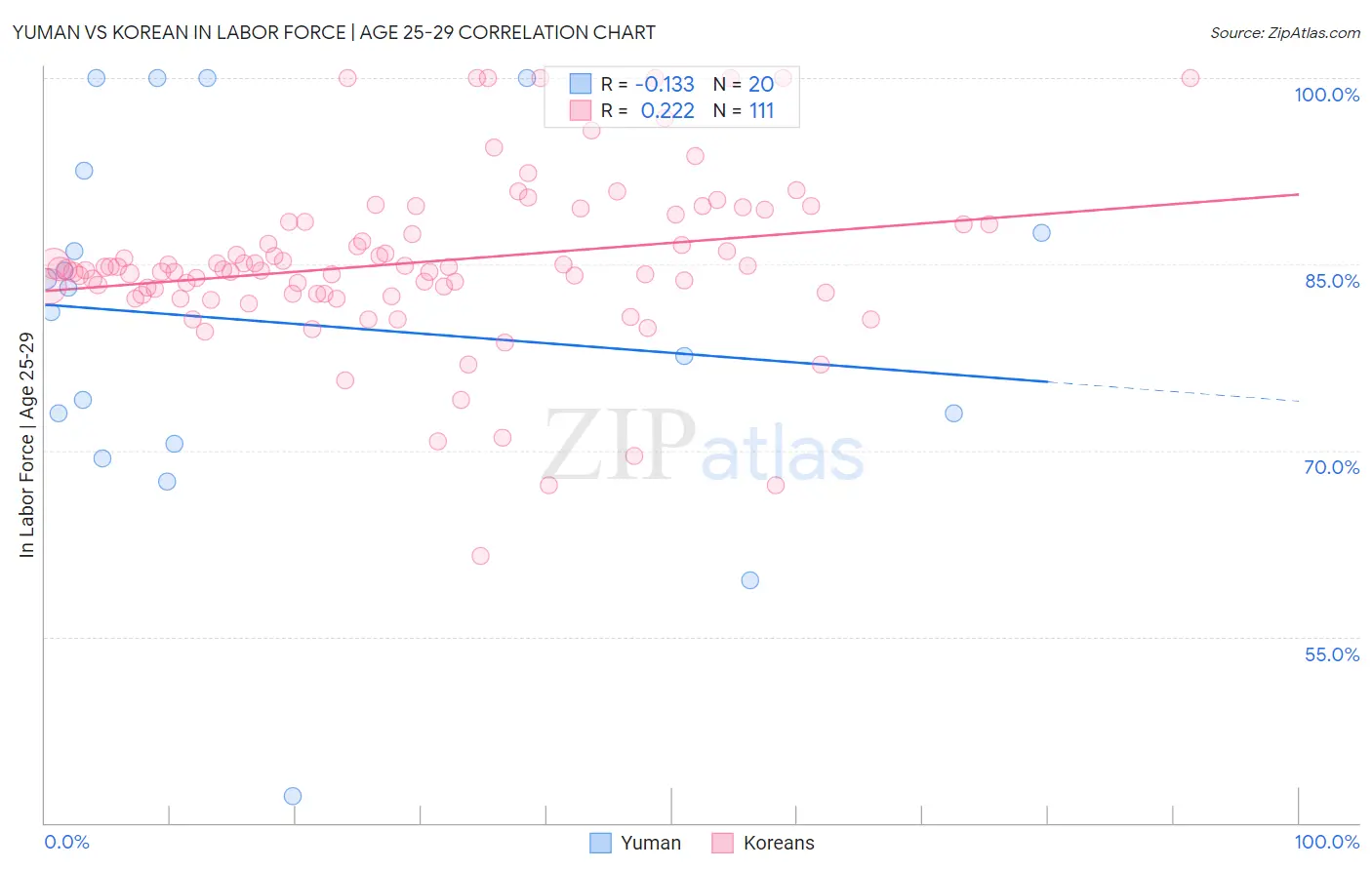 Yuman vs Korean In Labor Force | Age 25-29