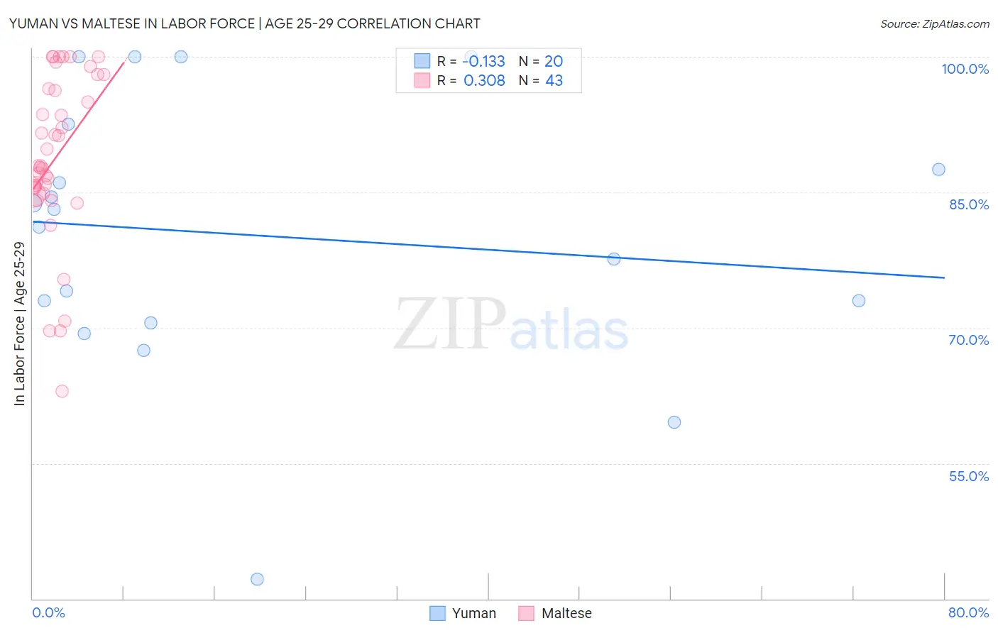 Yuman vs Maltese In Labor Force | Age 25-29