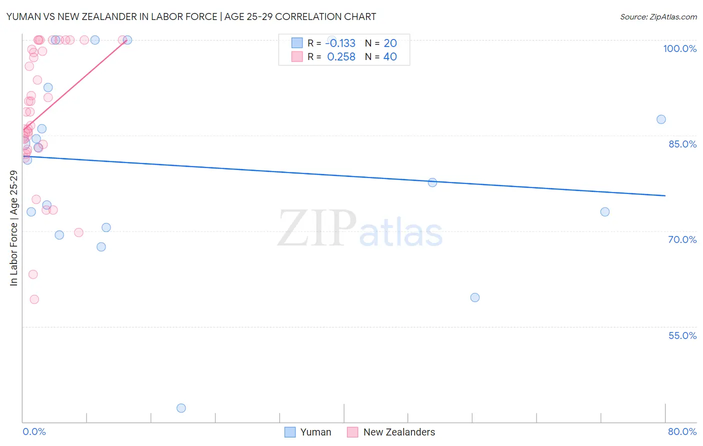 Yuman vs New Zealander In Labor Force | Age 25-29