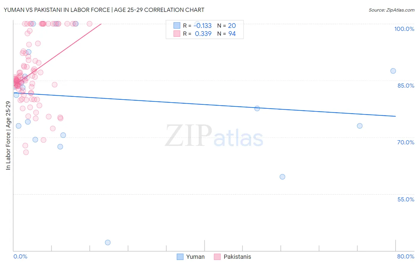 Yuman vs Pakistani In Labor Force | Age 25-29