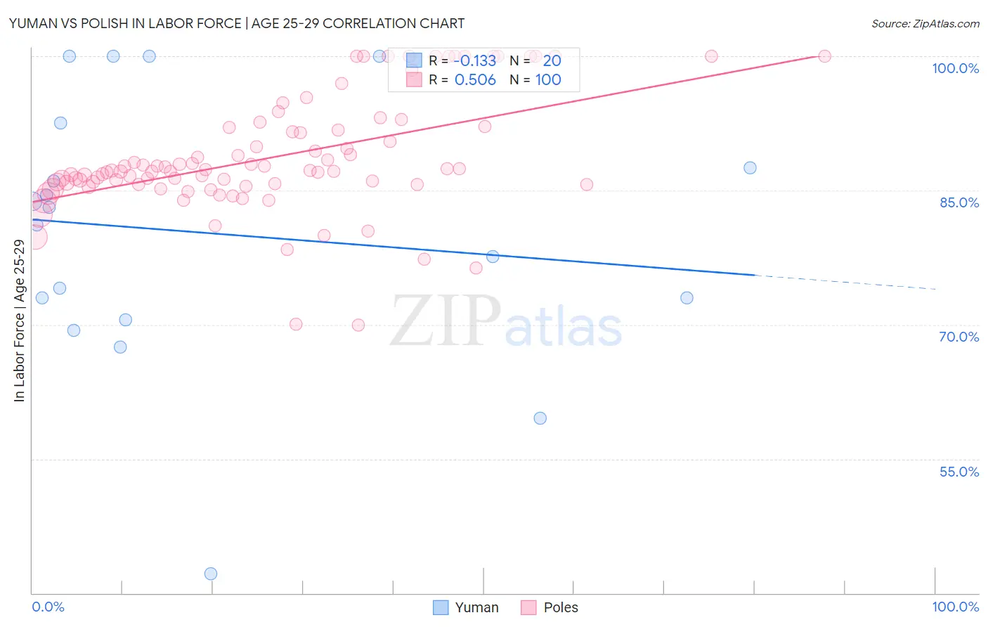 Yuman vs Polish In Labor Force | Age 25-29