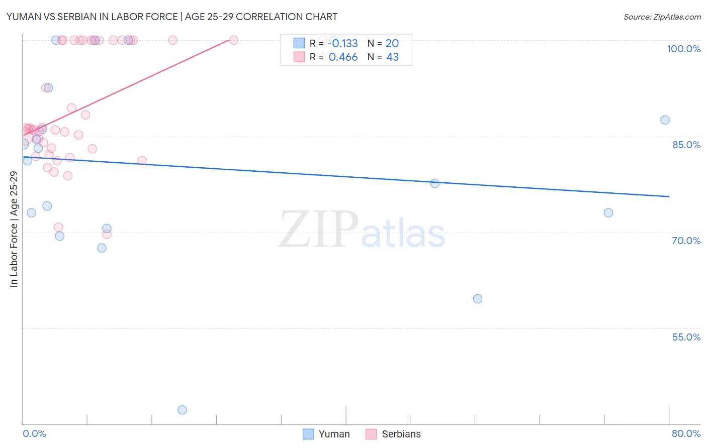 Yuman vs Serbian In Labor Force | Age 25-29