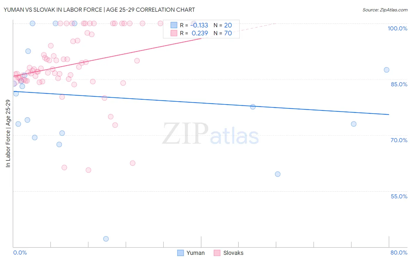Yuman vs Slovak In Labor Force | Age 25-29