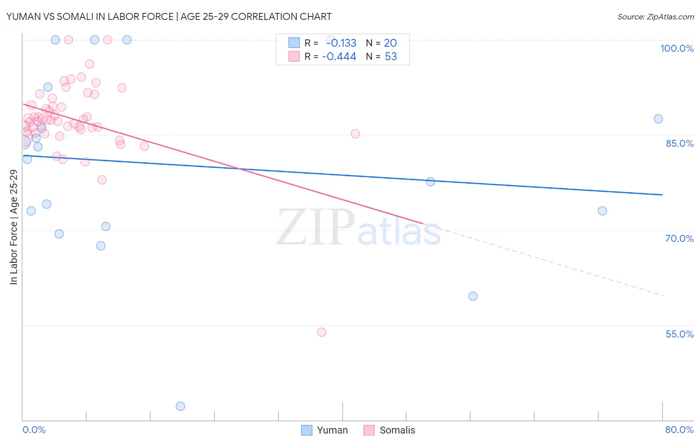 Yuman vs Somali In Labor Force | Age 25-29