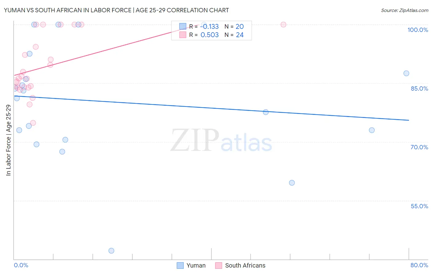 Yuman vs South African In Labor Force | Age 25-29