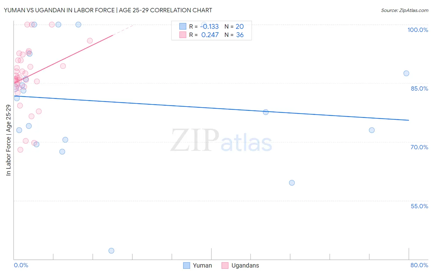 Yuman vs Ugandan In Labor Force | Age 25-29