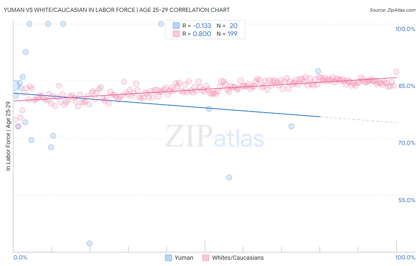 Yuman vs White/Caucasian In Labor Force | Age 25-29
