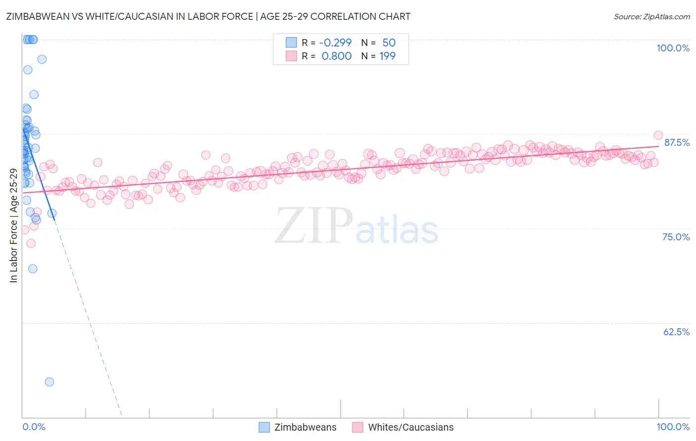 Zimbabwean vs White/Caucasian In Labor Force | Age 25-29