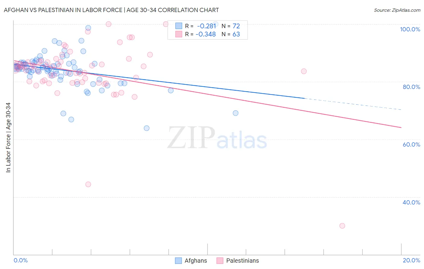 Afghan vs Palestinian In Labor Force | Age 30-34