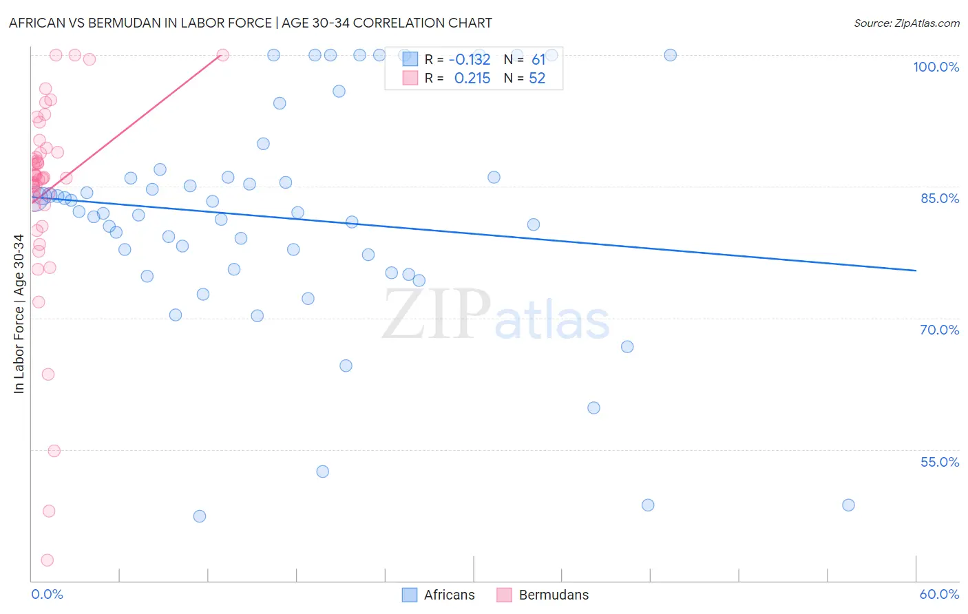 African vs Bermudan In Labor Force | Age 30-34