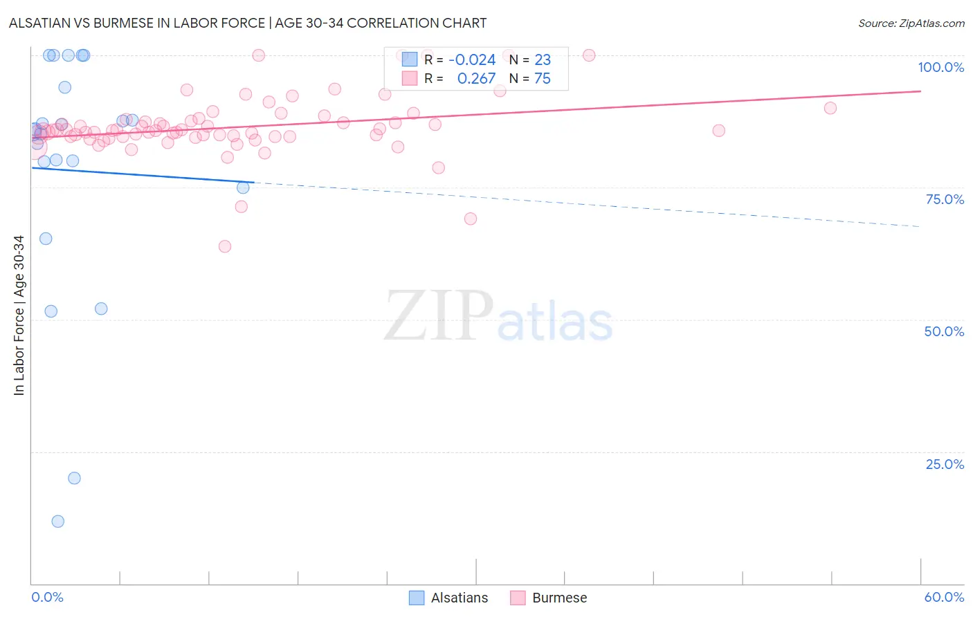 Alsatian vs Burmese In Labor Force | Age 30-34