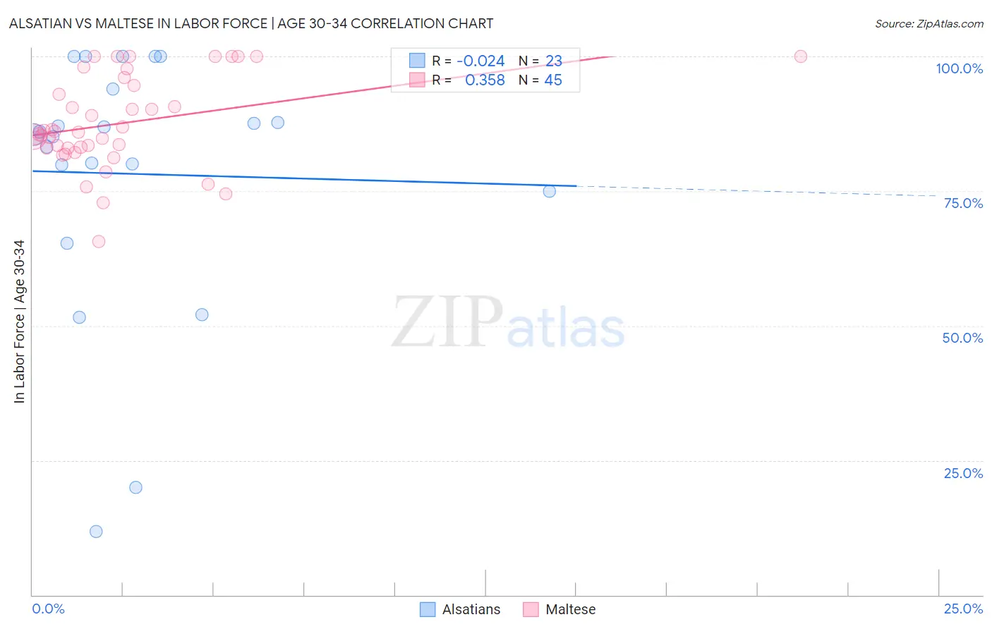 Alsatian vs Maltese In Labor Force | Age 30-34