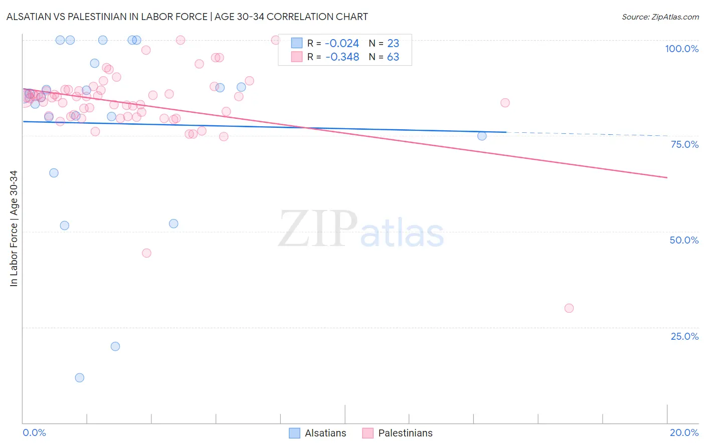 Alsatian vs Palestinian In Labor Force | Age 30-34