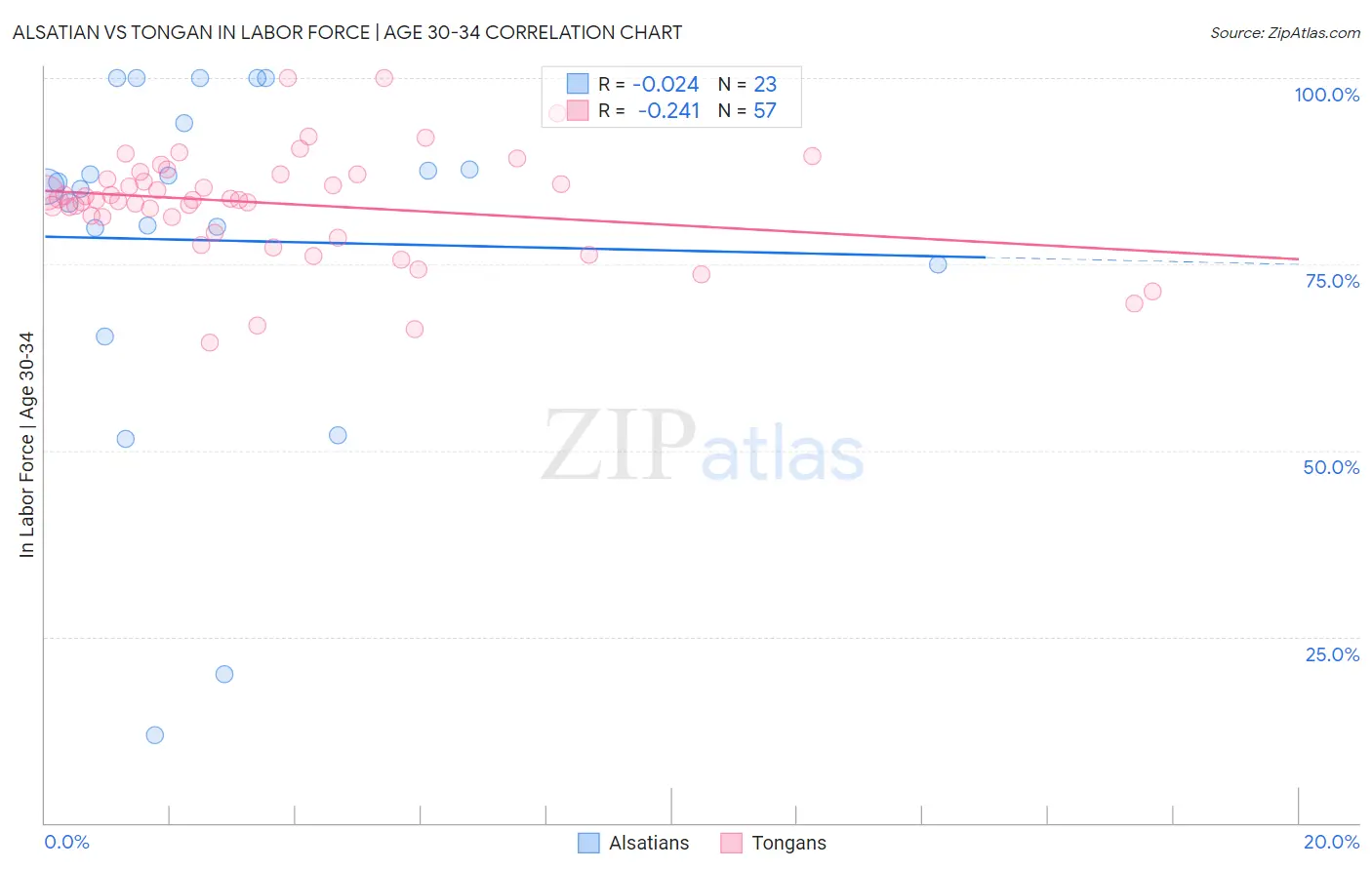 Alsatian vs Tongan In Labor Force | Age 30-34