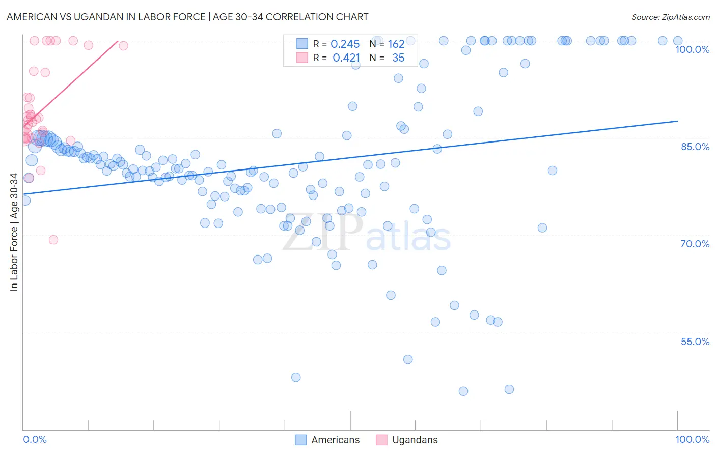 American vs Ugandan In Labor Force | Age 30-34
