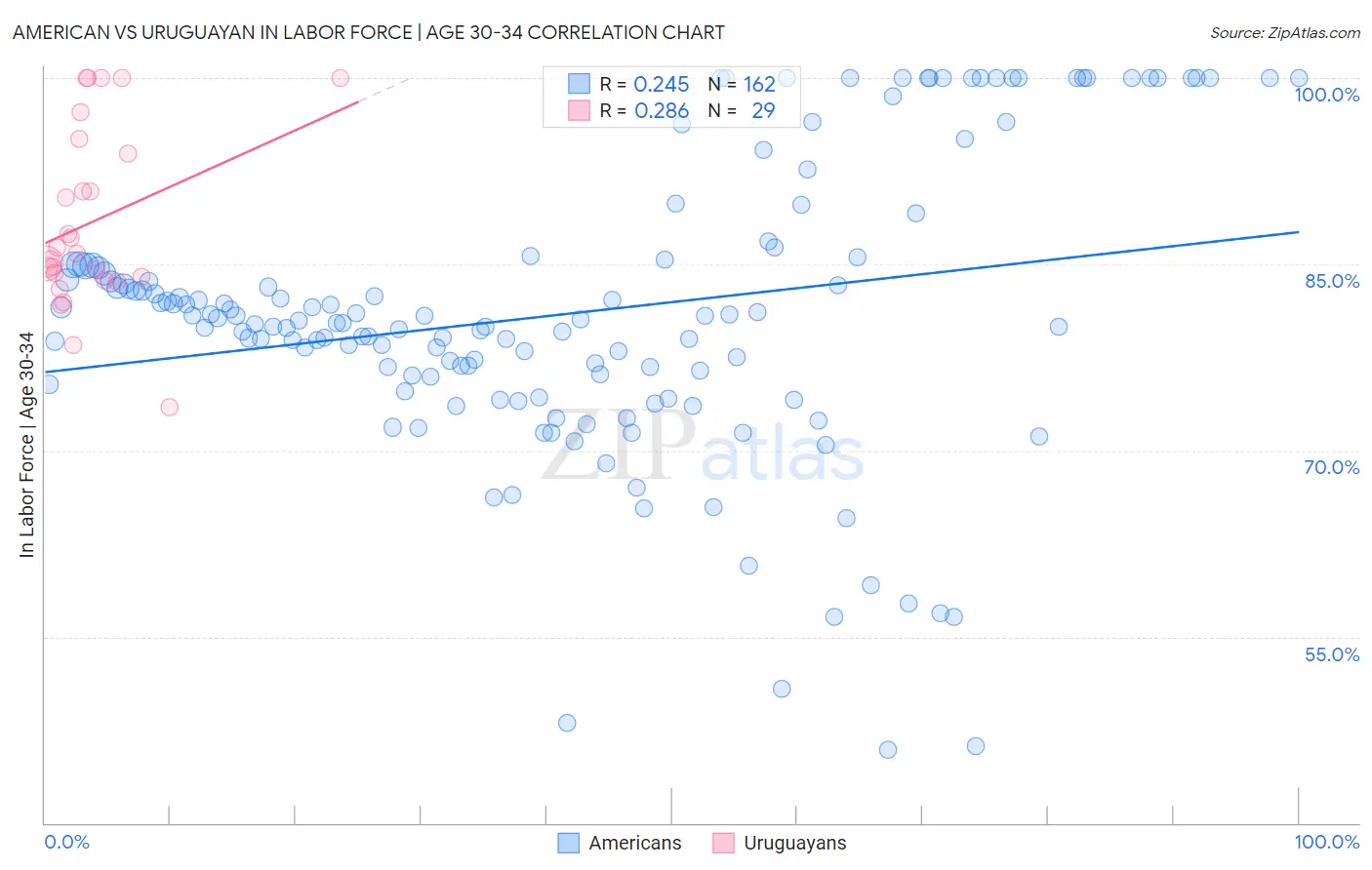 American vs Uruguayan In Labor Force | Age 30-34