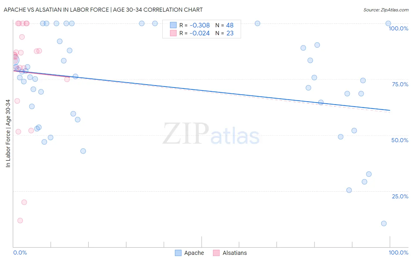 Apache vs Alsatian In Labor Force | Age 30-34