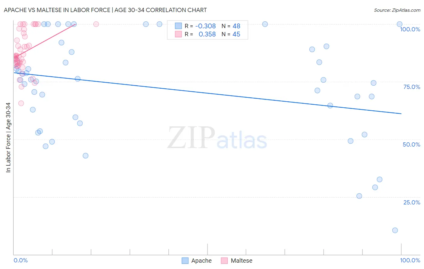 Apache vs Maltese In Labor Force | Age 30-34