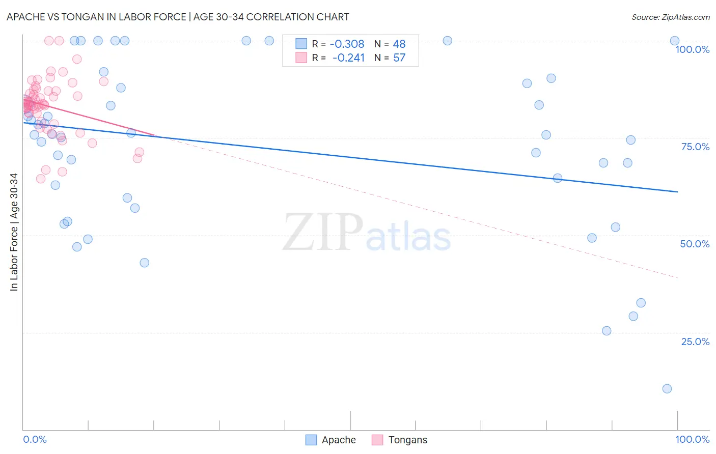 Apache vs Tongan In Labor Force | Age 30-34