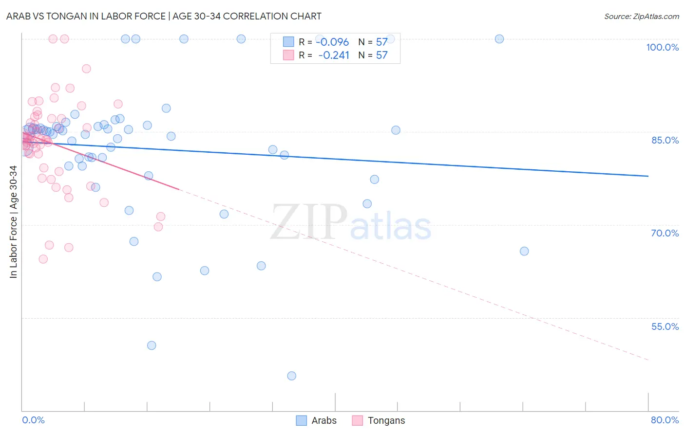Arab vs Tongan In Labor Force | Age 30-34