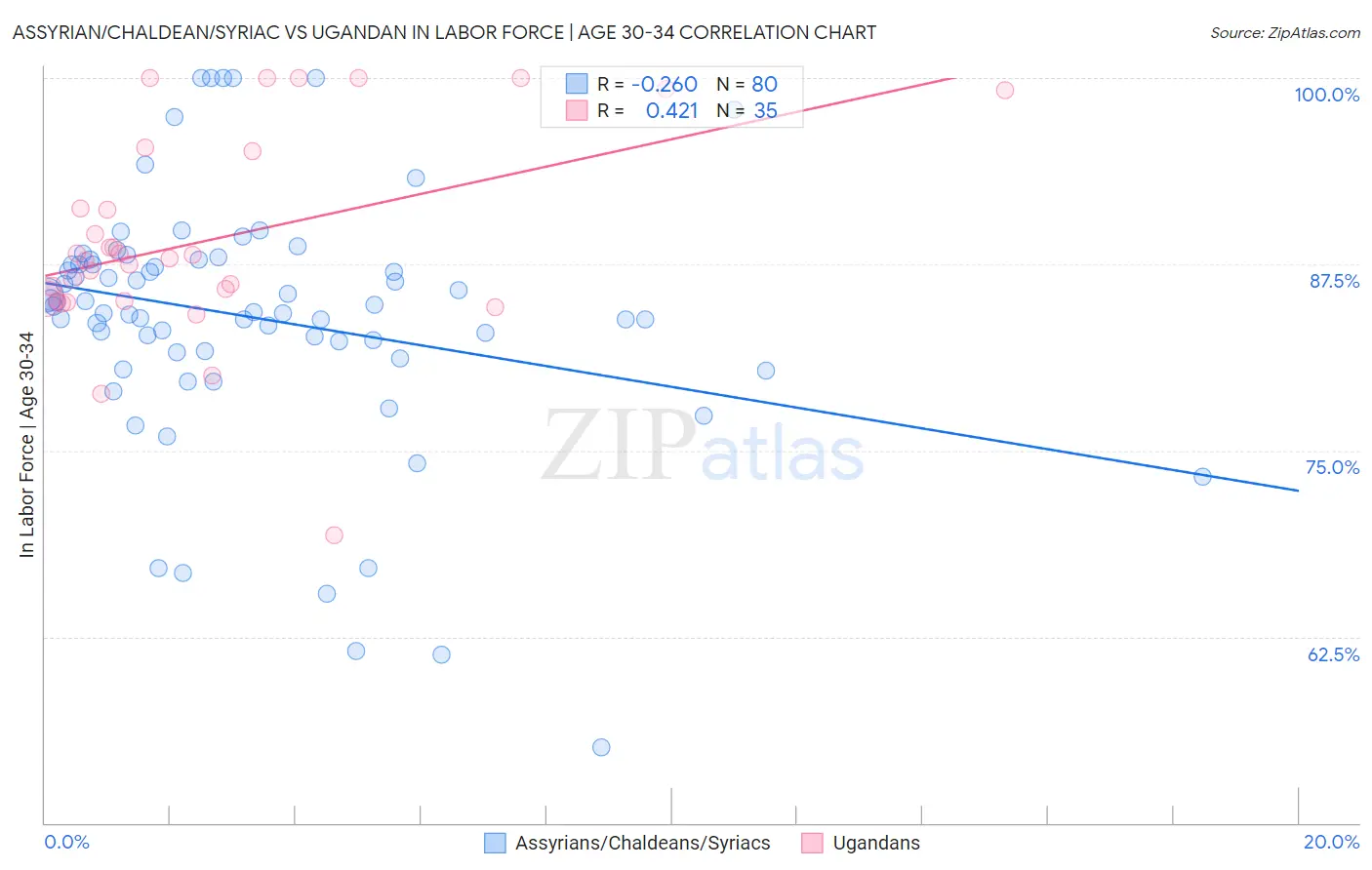 Assyrian/Chaldean/Syriac vs Ugandan In Labor Force | Age 30-34