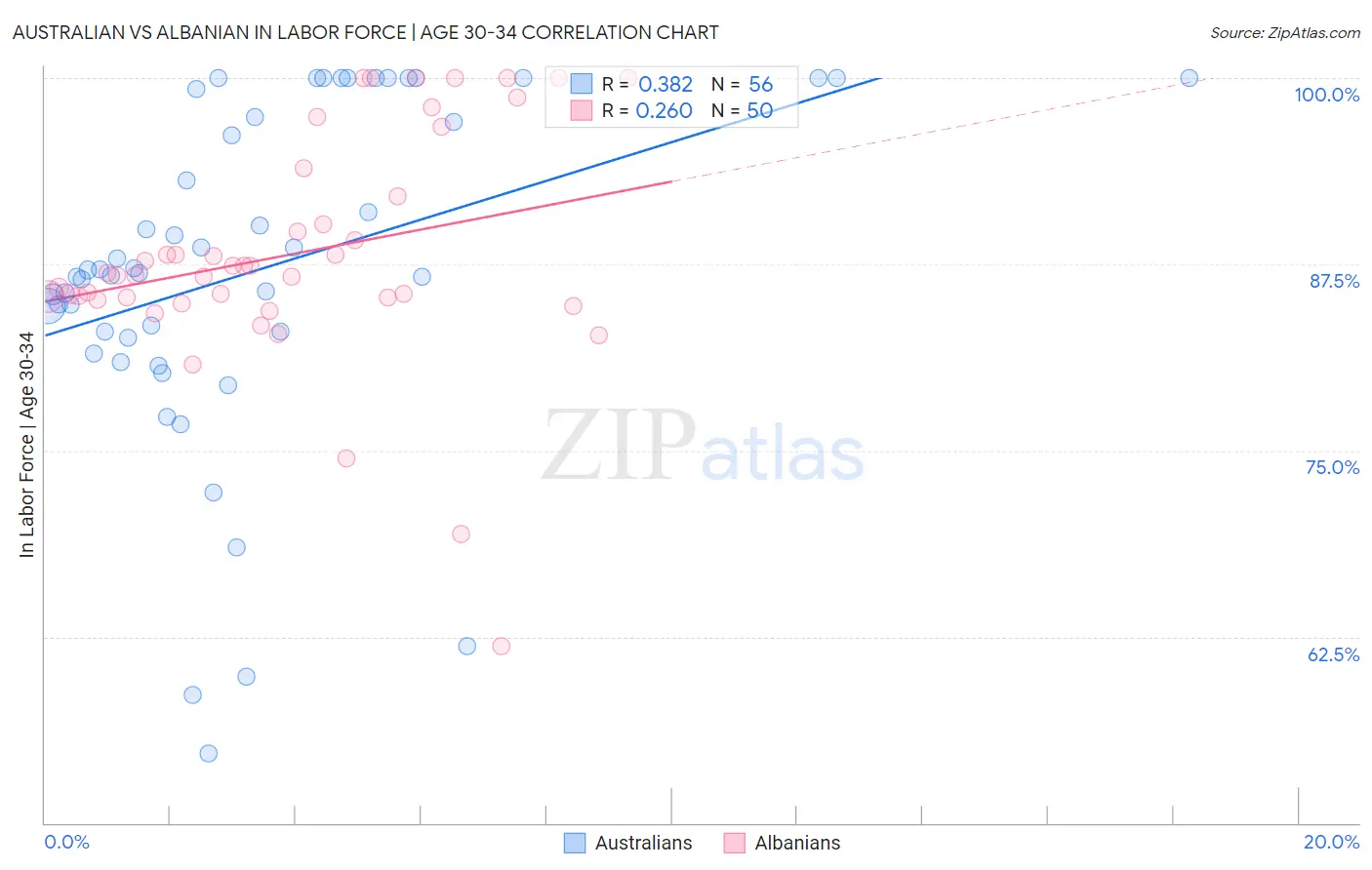 Australian vs Albanian In Labor Force | Age 30-34