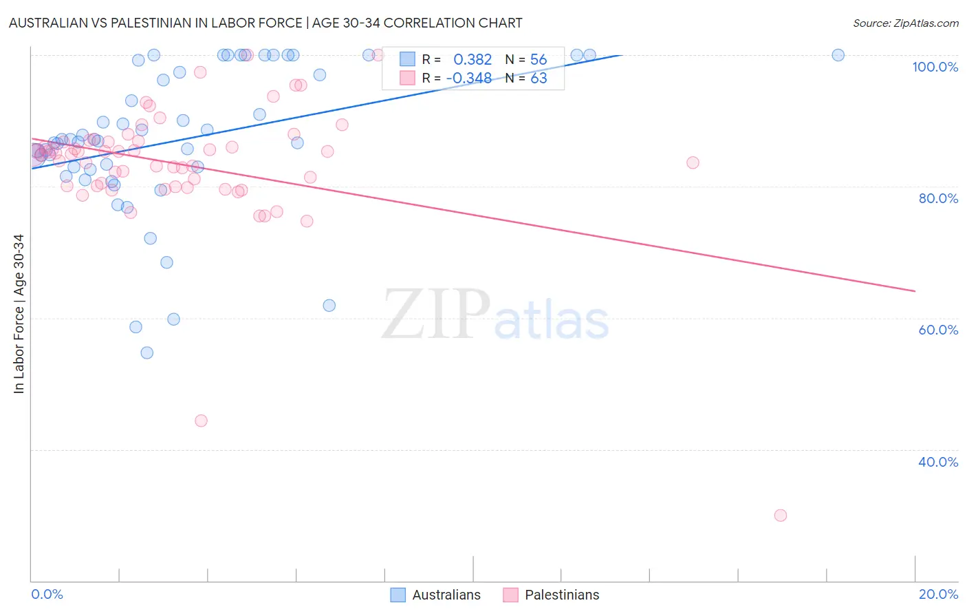Australian vs Palestinian In Labor Force | Age 30-34