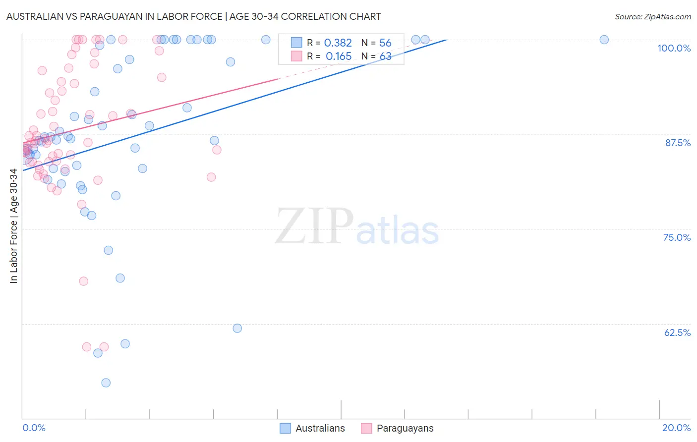 Australian vs Paraguayan In Labor Force | Age 30-34