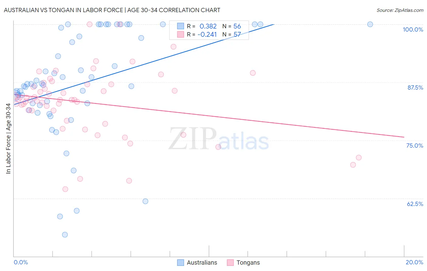 Australian vs Tongan In Labor Force | Age 30-34