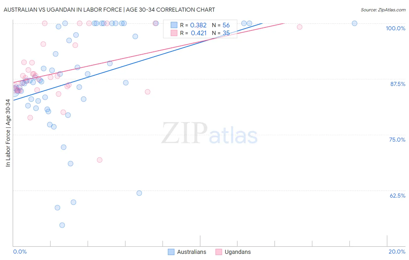 Australian vs Ugandan In Labor Force | Age 30-34