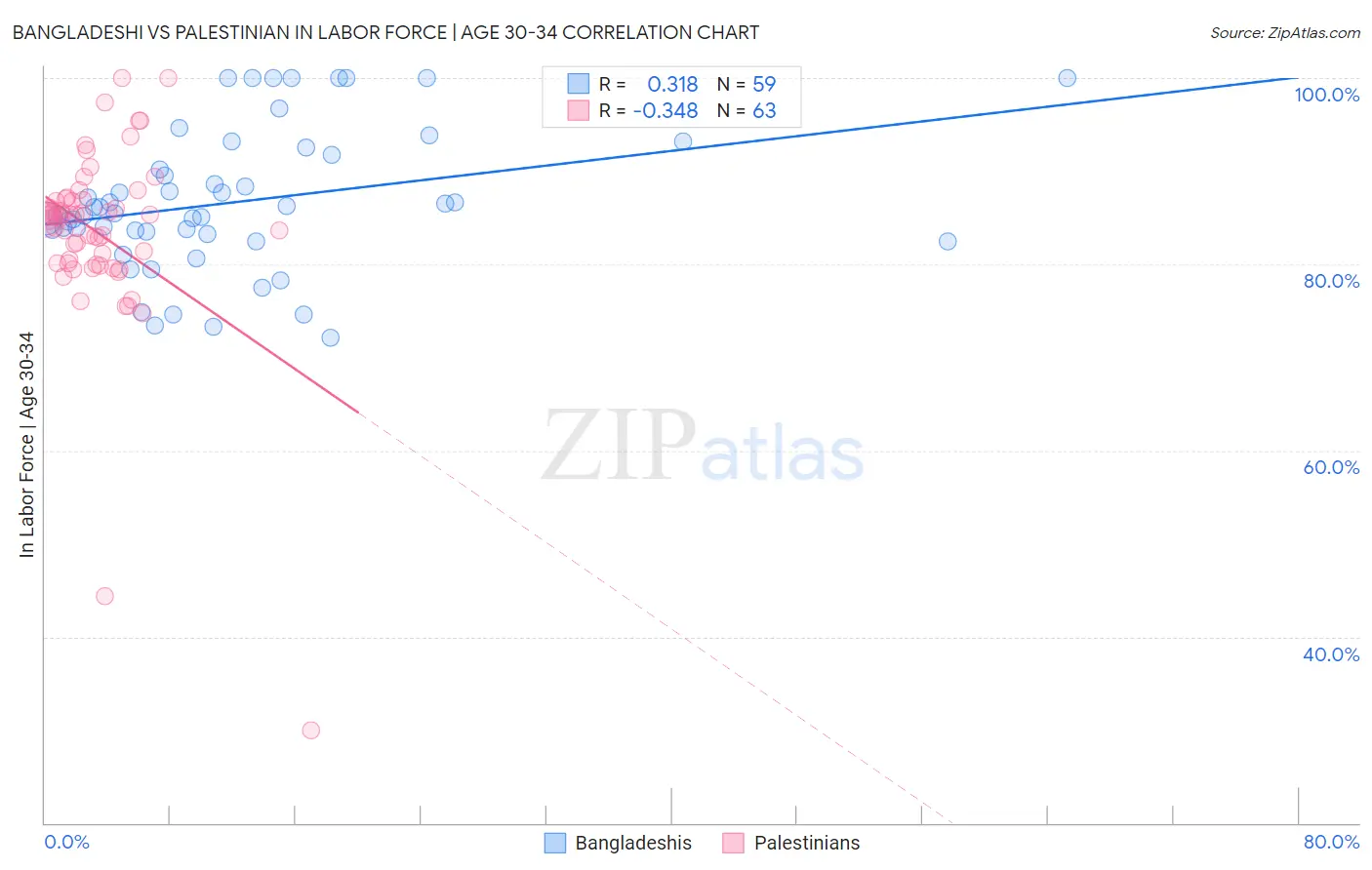Bangladeshi vs Palestinian In Labor Force | Age 30-34