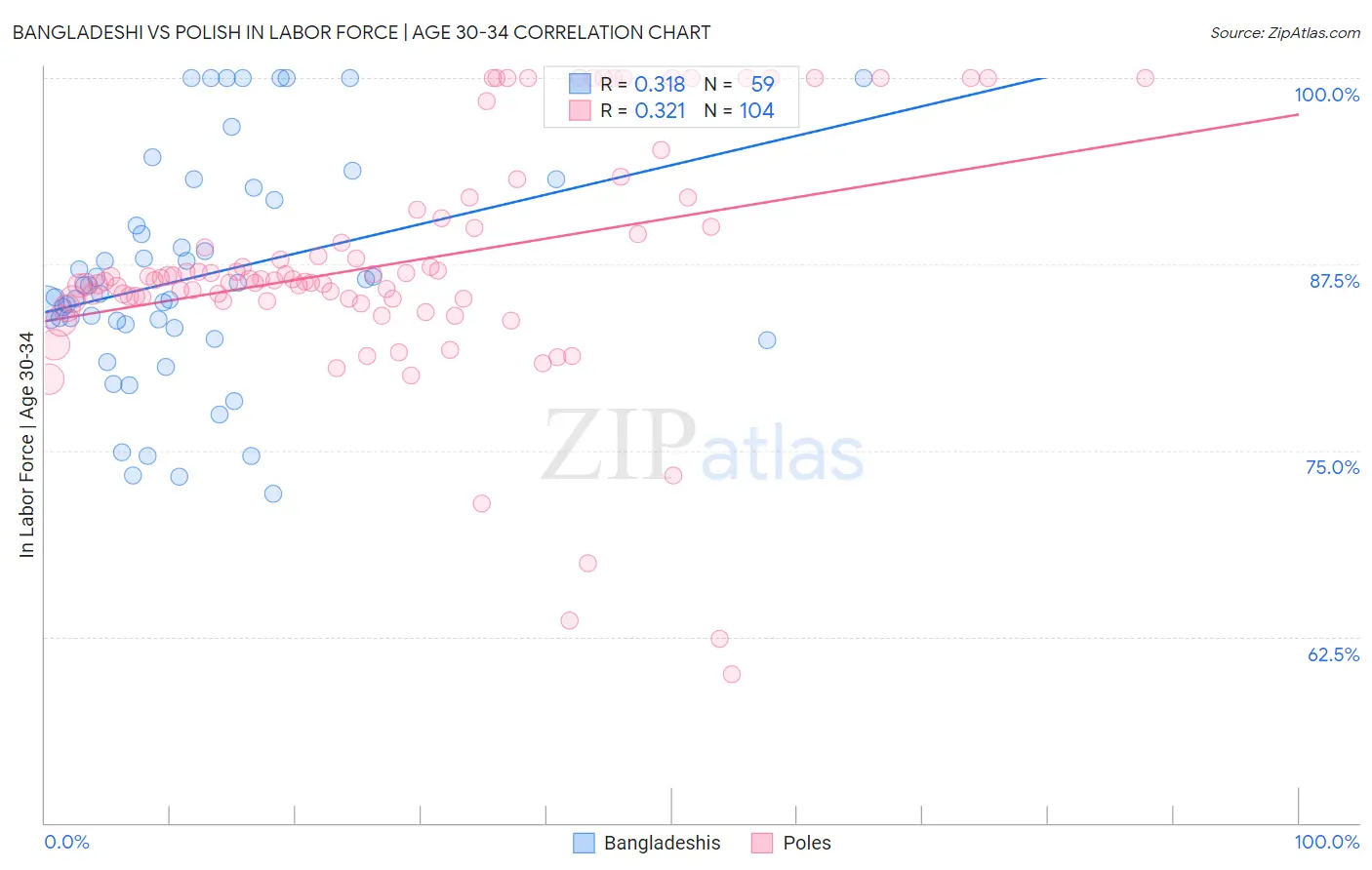 Bangladeshi vs Polish In Labor Force | Age 30-34