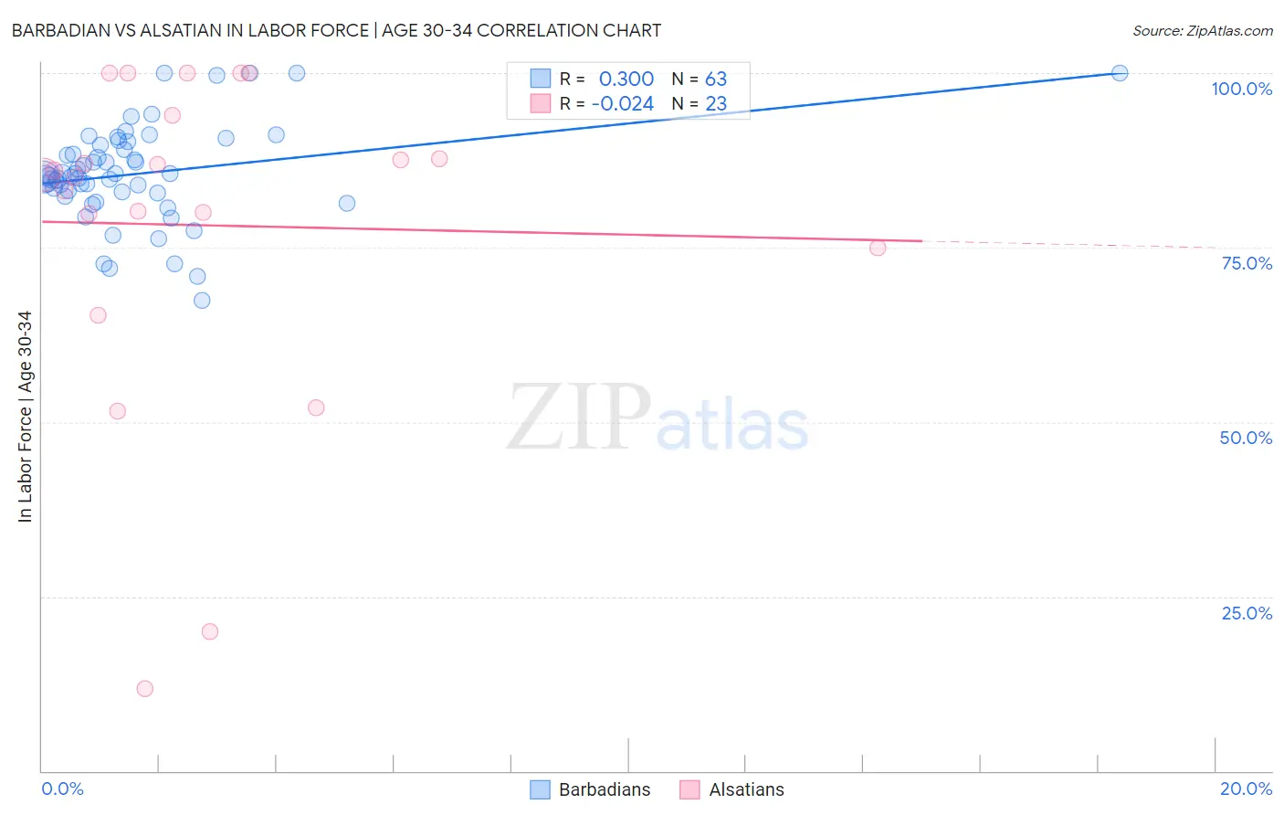 Barbadian vs Alsatian In Labor Force | Age 30-34