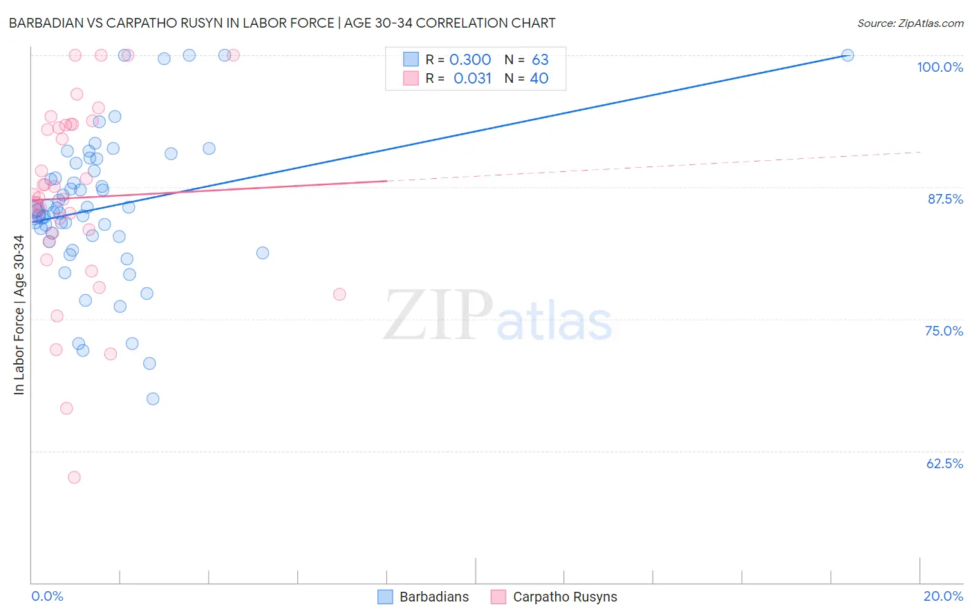 Barbadian vs Carpatho Rusyn In Labor Force | Age 30-34