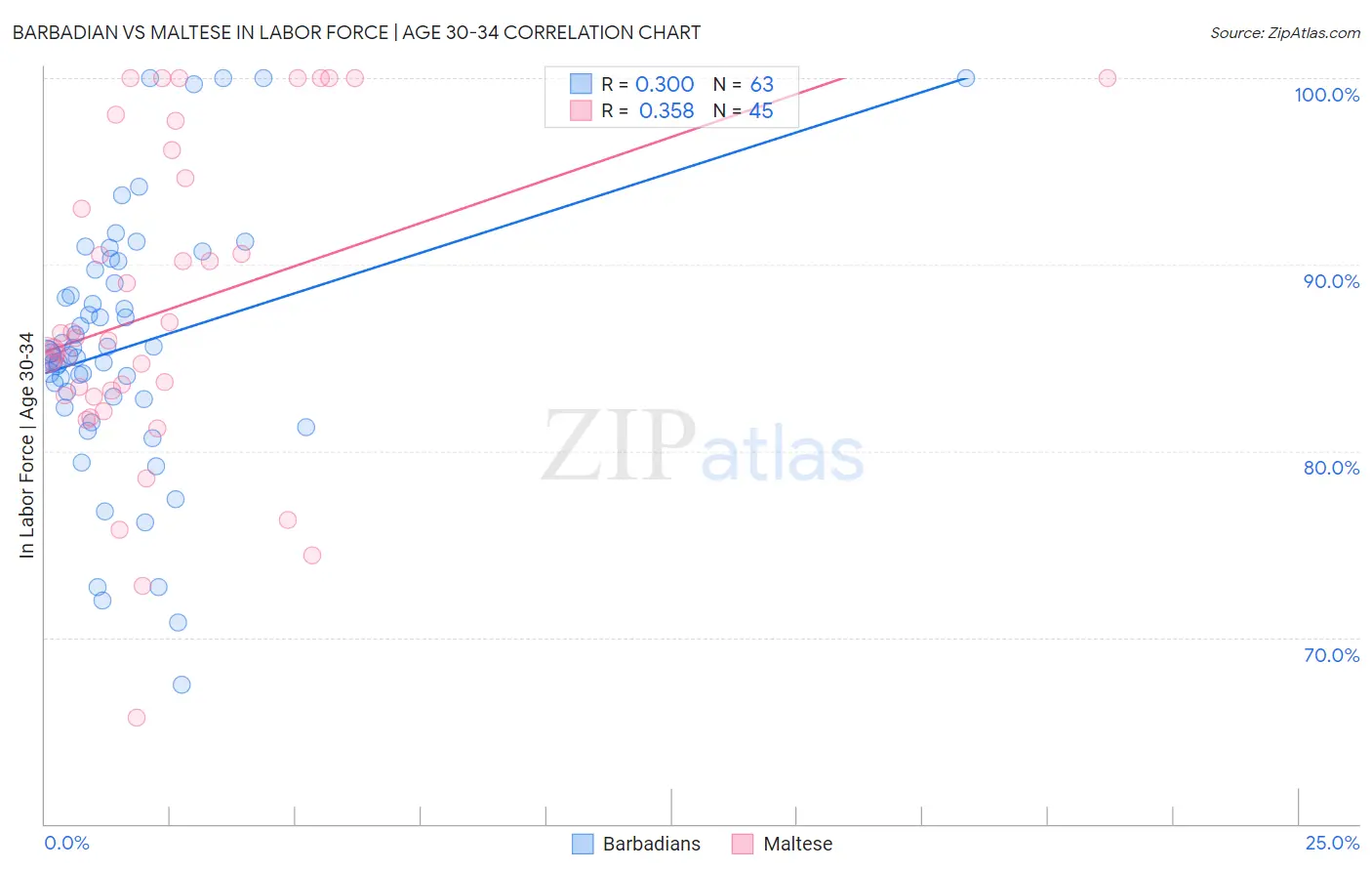 Barbadian vs Maltese In Labor Force | Age 30-34